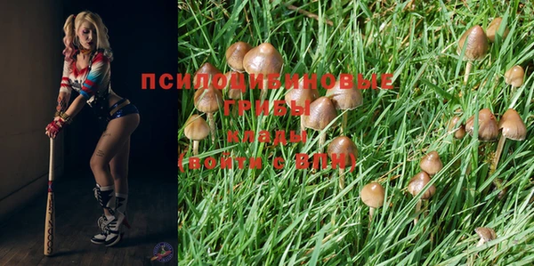 ешки Балахна