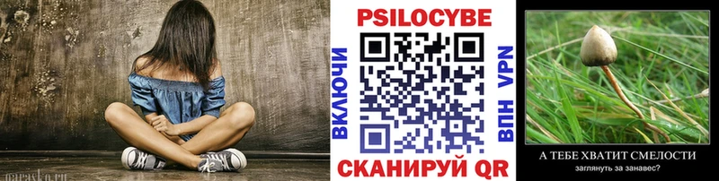 дарк нет какой сайт  Белинский  Галлюциногенные грибы GOLDEN TEACHER 
