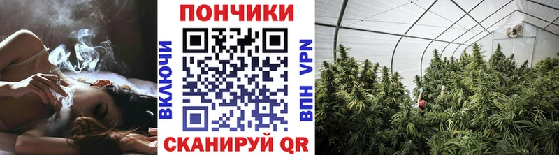 Бошки марихуана гибрид Белинский
